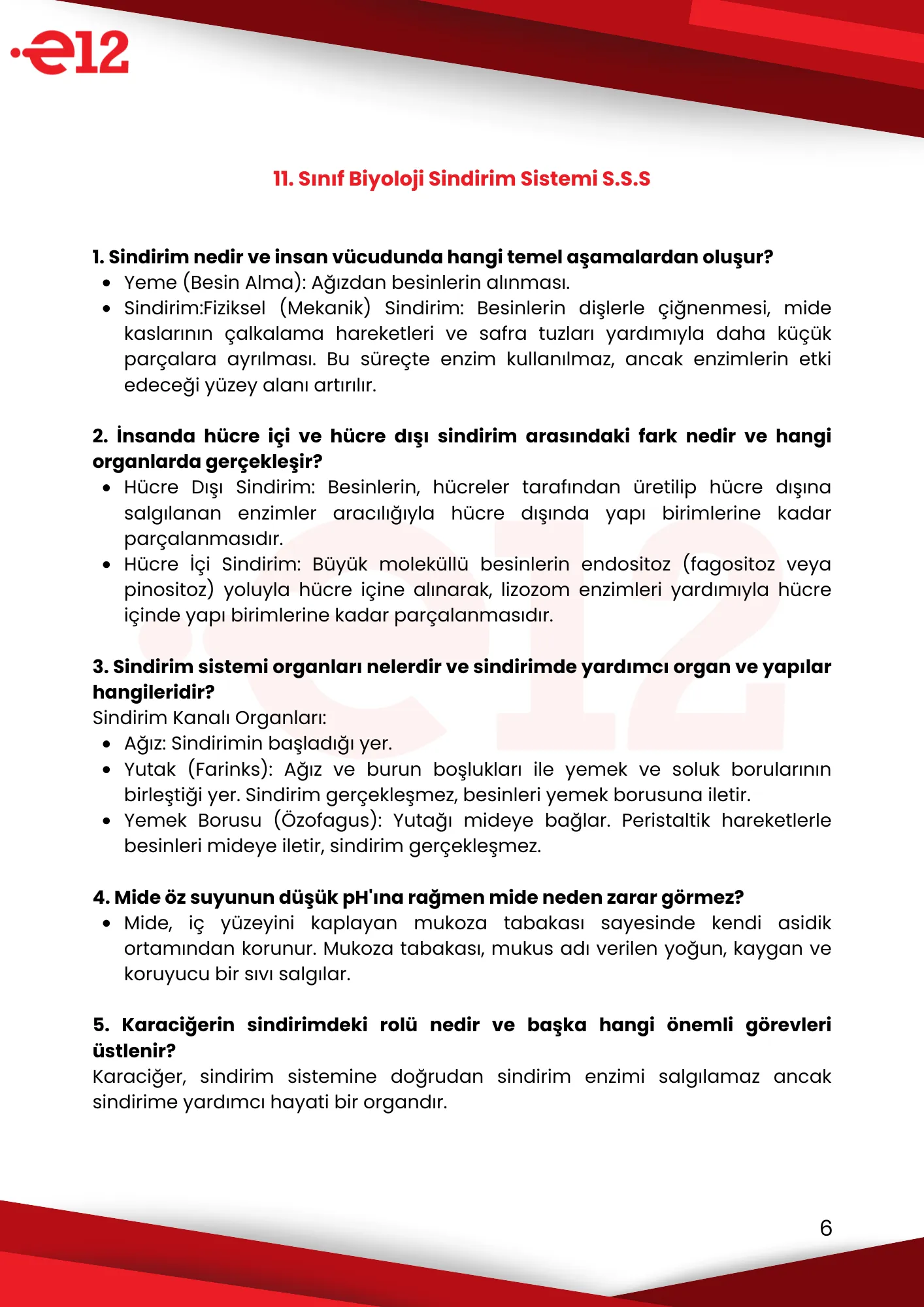 E12 Notebook Konu Anlatım Özet PDF'ler