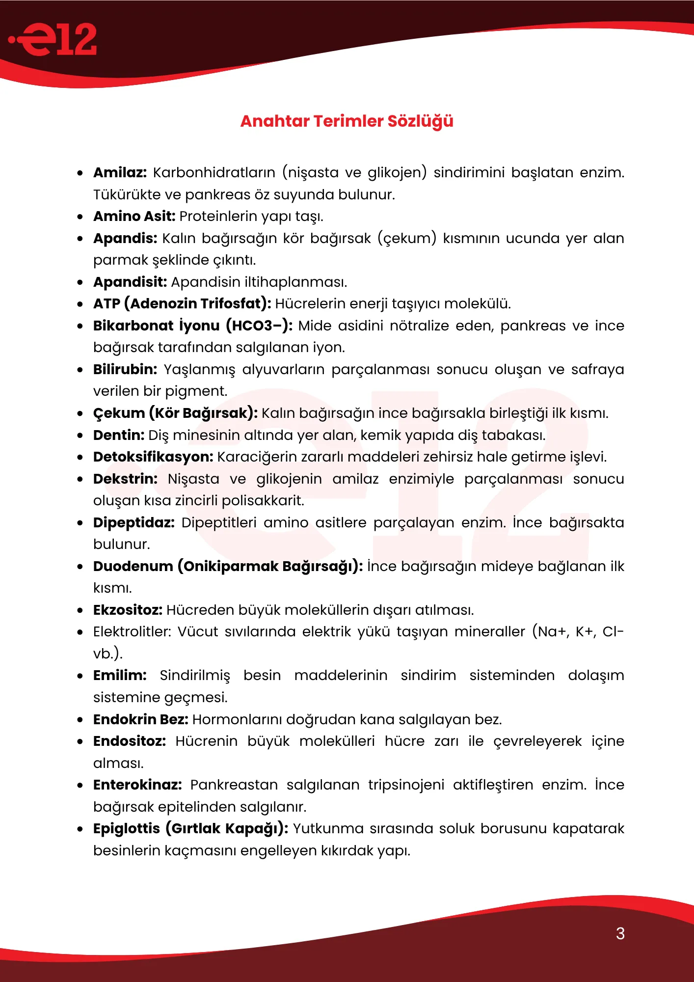 E12 Notebook Konu Anlatım Özet PDF'ler