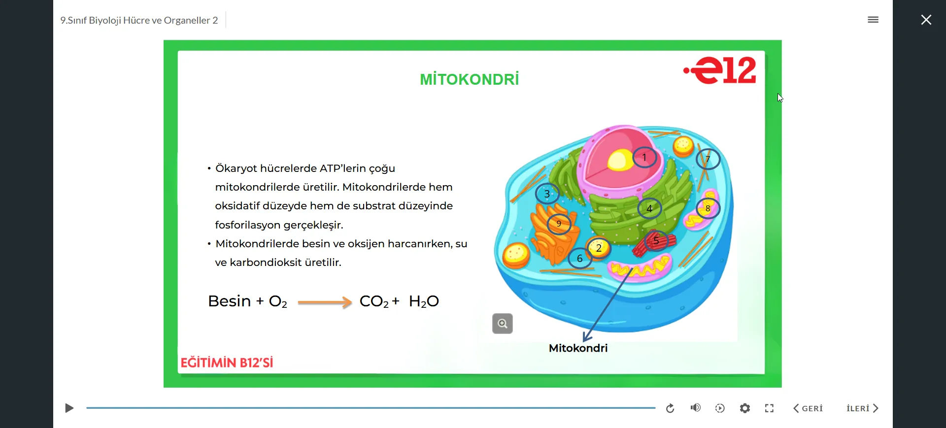 İnteraktif Konu Anlatım Sunumları Görsel 3