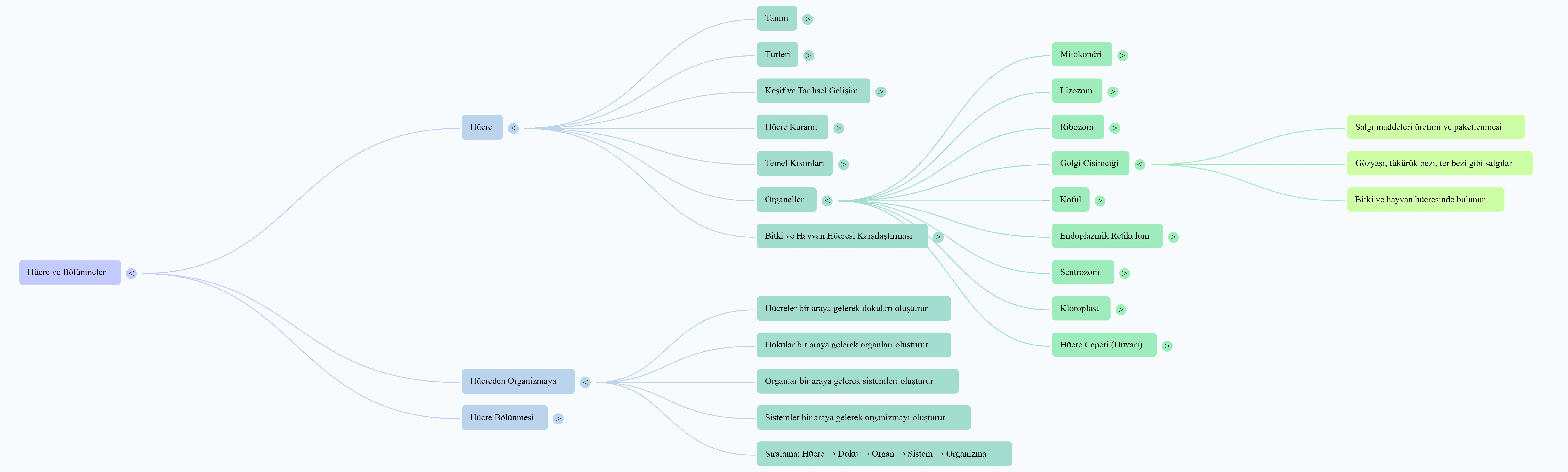 Konu Anlatım Kavram Haritaları - Görsel 1